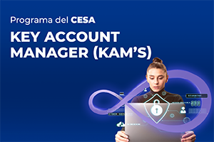 Key Account Managers (KAMS)